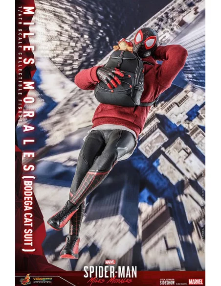 es::Spider-Man: Miles Morales Figura 1/6 Miles Morales Bodega Cat Suit Hot Toys 29 cm es::Spider-Man: Miles Morales Figura 1/6 Miles Morales Bodega Cat Suit Hot Toys 29 cm