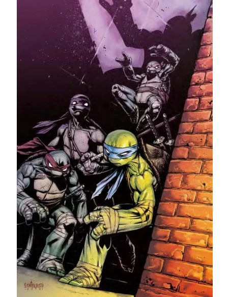 es::Las Tortugas Ninja vol. 08