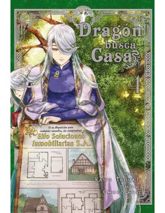 es::Dragón busca casa 04