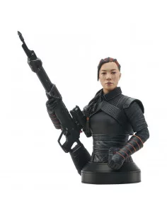 Star Wars The Mandalorian...