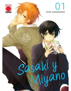 es::Sasaki y Miyano 01 