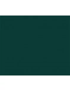 es::Pintura Citadel Base: Waaagh! Flesh