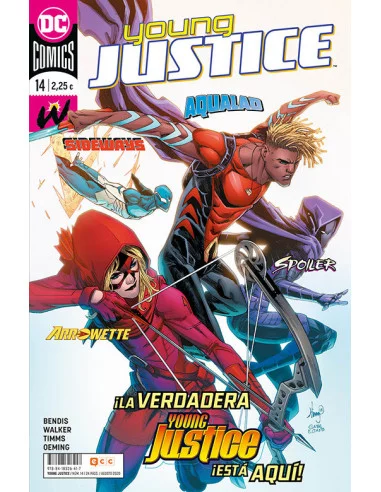 es::Young Justice 14