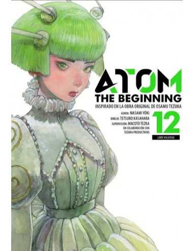es::Atom: The Beginning, Vol. 12