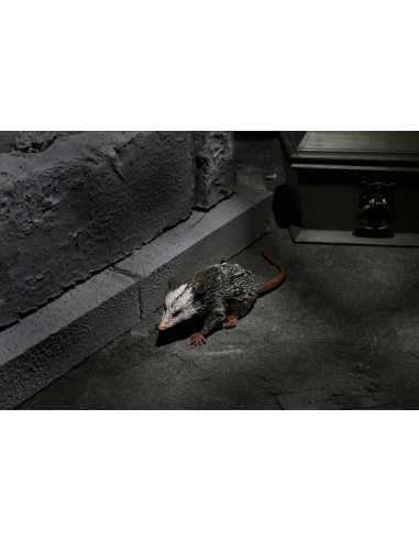 es::Universal Monsters Pack Accesorios para Dracula