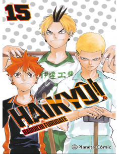 es::Haikyû!! 15