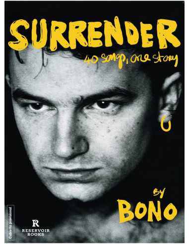 es::Surrender. 40 canciones, una historia