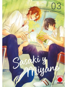es::Sasaki y Miyano 03 