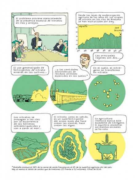 es::Algas verdes es::Algas verdes