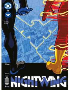 es::Nightwing 15