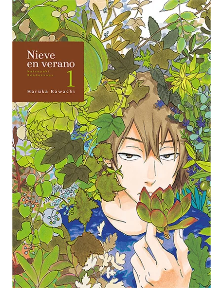 es::Nieve en verano 01 (de 4)