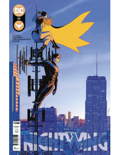 es::Nightwing 17