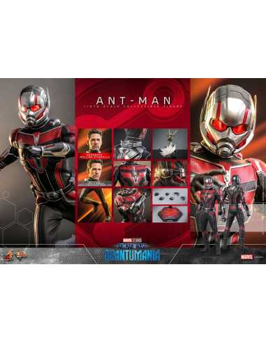 es::Ant-Man & The Wasp: Quantumania Figura 1/6 Ant-Man Hot Toys 30 cm