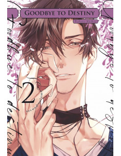 es::Goodbye to Destiny 02