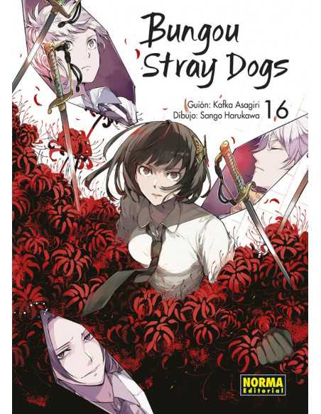 es::Bungou Stray Dogs 16