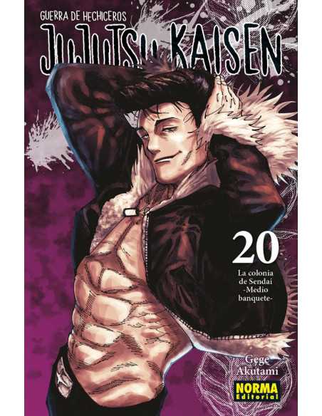 es::Jujutsu Kaisen 20
