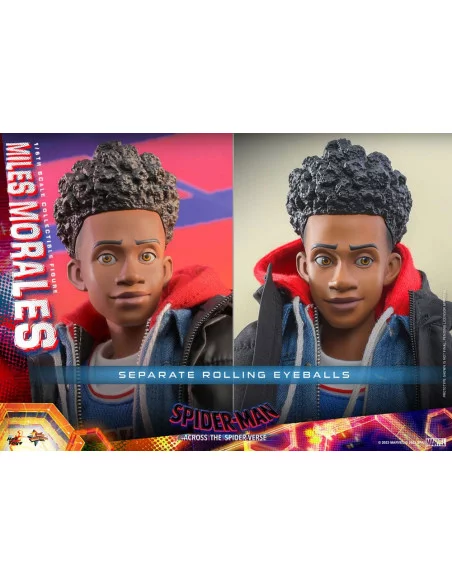 es::Spider-Man: Across the Spider-Verse Figura 1/6 Miles Morales Hot Toys 29 cm