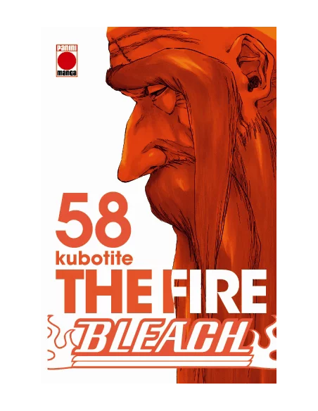 es::Bleach 58: The fire