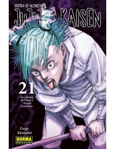es::Jujutsu Kaisen 21