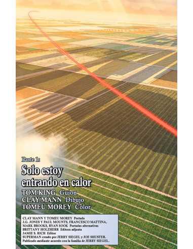 es::Héroes en Crisis (DC Pocket)