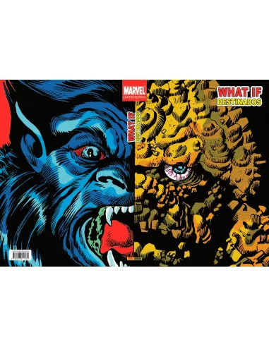 es::What If? 04: Destinados (Marvel Limited Edition)