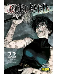 es::Jujutsu Kaisen 22