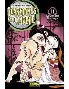 es::Guardianes de la noche 11 (Nueva edición)