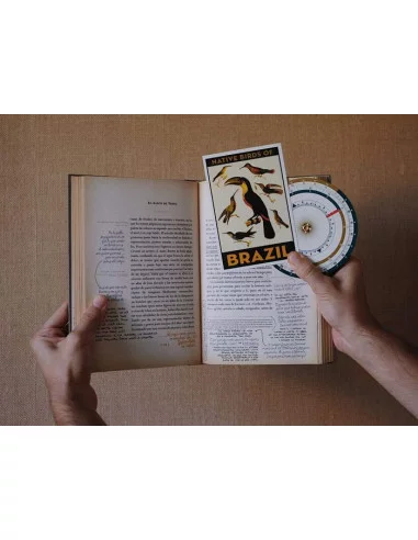 es::S. El barco de Teseo