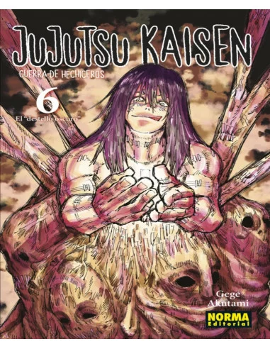 es::Jujutsu Kaisen 06 (Nueva edición)