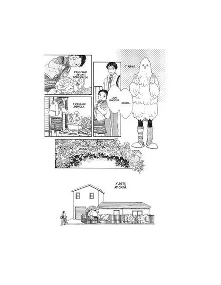 es::Zapatitos Plateados