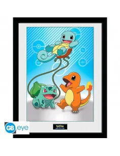 Pokémon Póster Enmarcado...