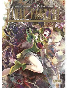 es::Final Fantasy. Lost Stranger 09