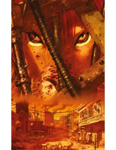 Los leones de Bagdad (DC...