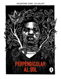 es::Perpendicular al sol