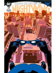 es::Nightwing 29