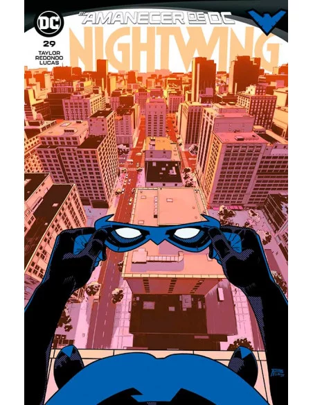 es::Nightwing 29