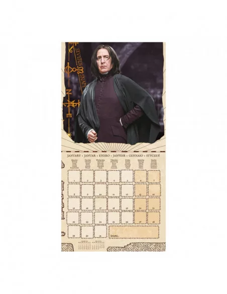 Harry Potter Calendario 2024 Magical Fundations Harry Potter Calendario 2024 Magical Fundations