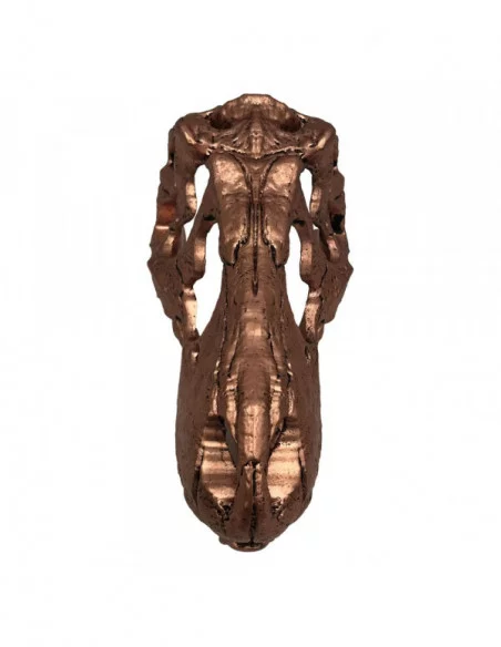 Jurassic Park Mini Réplica T-Rex Skull 10 cm Jurassic Park Mini Réplica T-Rex Skull 10 cm