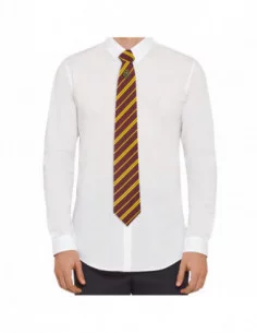 Harry Potter Set Deluxe de Corbata & Pin Gryffindor 2
