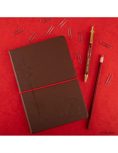 Masters of the Universe Libreta con bolígrafo He-Man with Sword Masters of the Universe Libreta con bolígrafo He-Man with Sword