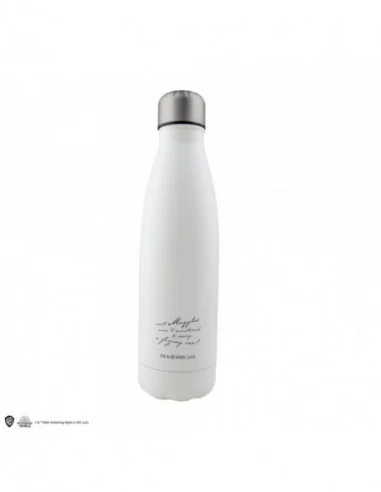 Harry Potter Botella Termo Journey to Hogwarts