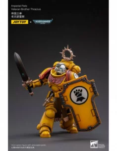 Warhammer 40k Figura 1/18 Imperial Fists Veteran Brother Thracius 12 cm 2