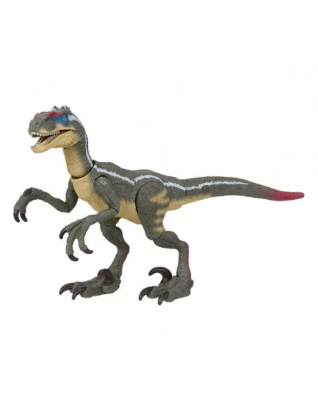 Jurassic World Hammond Collection Figura Velociraptor