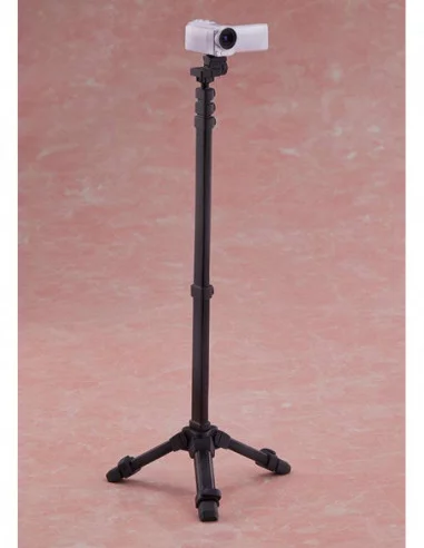 Chizuru-chan Kaihatsu Nikki Estatua 1/5 Chizuru Shiina DXver. 29 cm