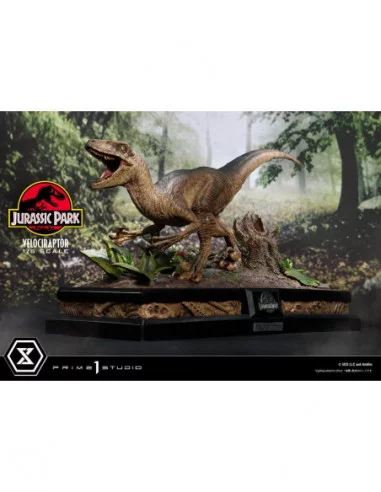 Jurassic Park Estatua Legacy Museum Collection 1/6 Velociraptor Attack 38 cm