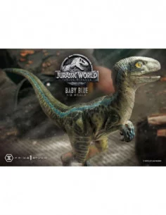 Jurassic World: Fallen Kingdom Estatua Prime Collectibles 1/2 Baby Blue 34 cm 2