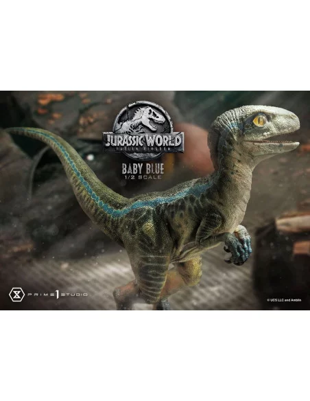 Jurassic World: Fallen Kingdom Estatua Prime Collectibles 1/2 Baby Blue 34 cm Jurassic World: Fallen Kingdom Estatua Prime Collectibles 1/2 Baby Blue 34 cm