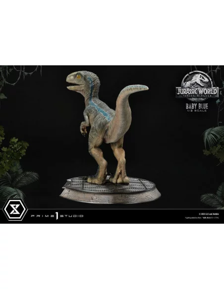 Jurassic World: Fallen Kingdom Estatua Prime Collectibles 1/2 Baby Blue 34 cm Jurassic World: Fallen Kingdom Estatua Prime Collectibles 1/2 Baby Blue 34 cm