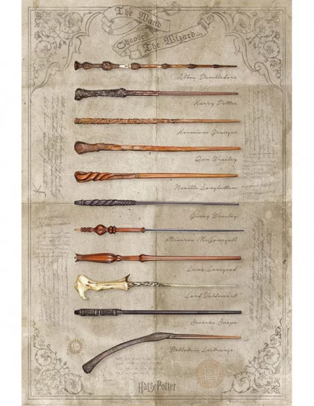 Harry Potter Set de 4 Pósteres The Wand chooses the Wizzard 61 x 91 cm (4)
