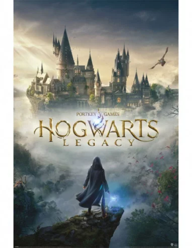 Hogwarts Legacy Set de 5 Pósteres Wizarding World Universe 61 x 91 cm (5)